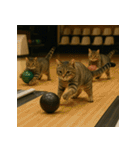 猫たちがスポーツに挑戦（個別スタンプ：27）