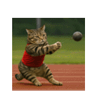 猫たちがスポーツに挑戦（個別スタンプ：36）