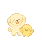 トイプードルのプチくんとひよこくん（個別スタンプ：4）