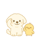 トイプードルのプチくんとひよこくん（個別スタンプ：5）