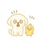 トイプードルのプチくんとひよこくん（個別スタンプ：6）