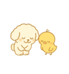 トイプードルのプチくんとひよこくん（個別スタンプ：8）