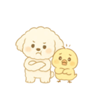 トイプードルのプチくんとひよこくん（個別スタンプ：9）