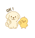 トイプードルのプチくんとひよこくん（個別スタンプ：10）