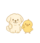 トイプードルのプチくんとひよこくん（個別スタンプ：11）