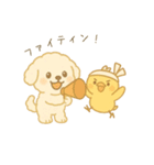 トイプードルのプチくんとひよこくん（個別スタンプ：14）