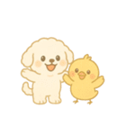 トイプードルのプチくんとひよこくん（個別スタンプ：15）