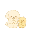 トイプードルのプチくんとひよこくん（個別スタンプ：17）