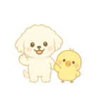 トイプードルのプチくんとひよこくん（個別スタンプ：18）