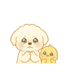 トイプードルのプチくんとひよこくん（個別スタンプ：19）