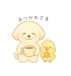トイプードルのプチくんとひよこくん（個別スタンプ：21）