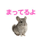 チンチラ無双（個別スタンプ：9）