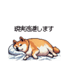 5月病な太っちょ柴犬 やる気無し（個別スタンプ：5）