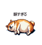 5月病な太っちょ柴犬 やる気無し（個別スタンプ：16）