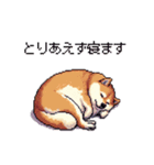 5月病な太っちょ柴犬 やる気無し（個別スタンプ：25）