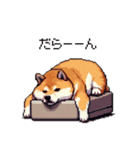 5月病な太っちょ柴犬 やる気無し（個別スタンプ：30）