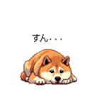 5月病な太っちょ柴犬 やる気無し（個別スタンプ：31）