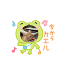 ニャンズの私の相棒（個別スタンプ：3）