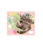 ニャンズの私の相棒（個別スタンプ：6）