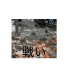 動画の鳩（個別スタンプ：4）