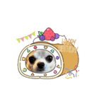 チワワめるたん♡（個別スタンプ：10）