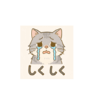 かわいい灰色にゃんこ（個別スタンプ：1）