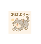 かわいい灰色にゃんこ（個別スタンプ：5）