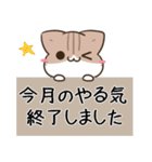 毎日五月病なねこたち 敬語3（個別スタンプ：14）