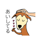 芝犬ハピコ（個別スタンプ：1）