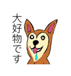 芝犬ハピコ（個別スタンプ：3）