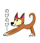 芝犬ハピコ（個別スタンプ：6）