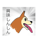 芝犬ハピコ（個別スタンプ：8）