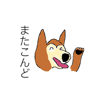 芝犬ハピコ（個別スタンプ：9）