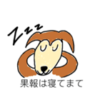 芝犬ハピコ（個別スタンプ：10）