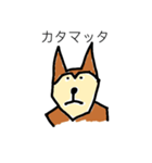 芝犬ハピコ（個別スタンプ：11）