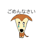 芝犬ハピコ（個別スタンプ：12）