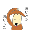 芝犬ハピコ（個別スタンプ：13）