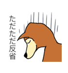 芝犬ハピコ（個別スタンプ：14）