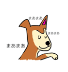芝犬ハピコ（個別スタンプ：18）