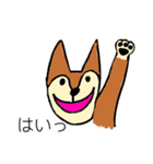 芝犬ハピコ（個別スタンプ：19）