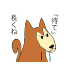 芝犬ハピコ（個別スタンプ：21）