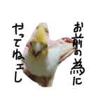 ピーチクパーチク3（個別スタンプ：8）