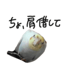 ピーチクパーチク3（個別スタンプ：10）