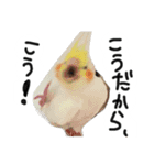 ピーチクパーチク3（個別スタンプ：11）