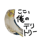 ピーチクパーチク3（個別スタンプ：14）