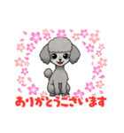 『トイプードル』のスタンプ（個別スタンプ：2）