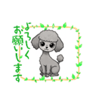 『トイプードル』のスタンプ（個別スタンプ：3）