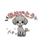 『トイプードル』のスタンプ（個別スタンプ：5）
