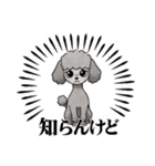 『トイプードル』のスタンプ（個別スタンプ：6）
