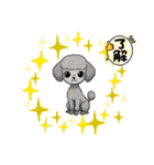『トイプードル』のスタンプ（個別スタンプ：7）